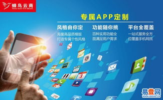 廈門(mén)網(wǎng)站開(kāi)發(fā)與軟件定制 漳州易登網(wǎng)的專(zhuān)業(yè)外包服務(wù)解讀